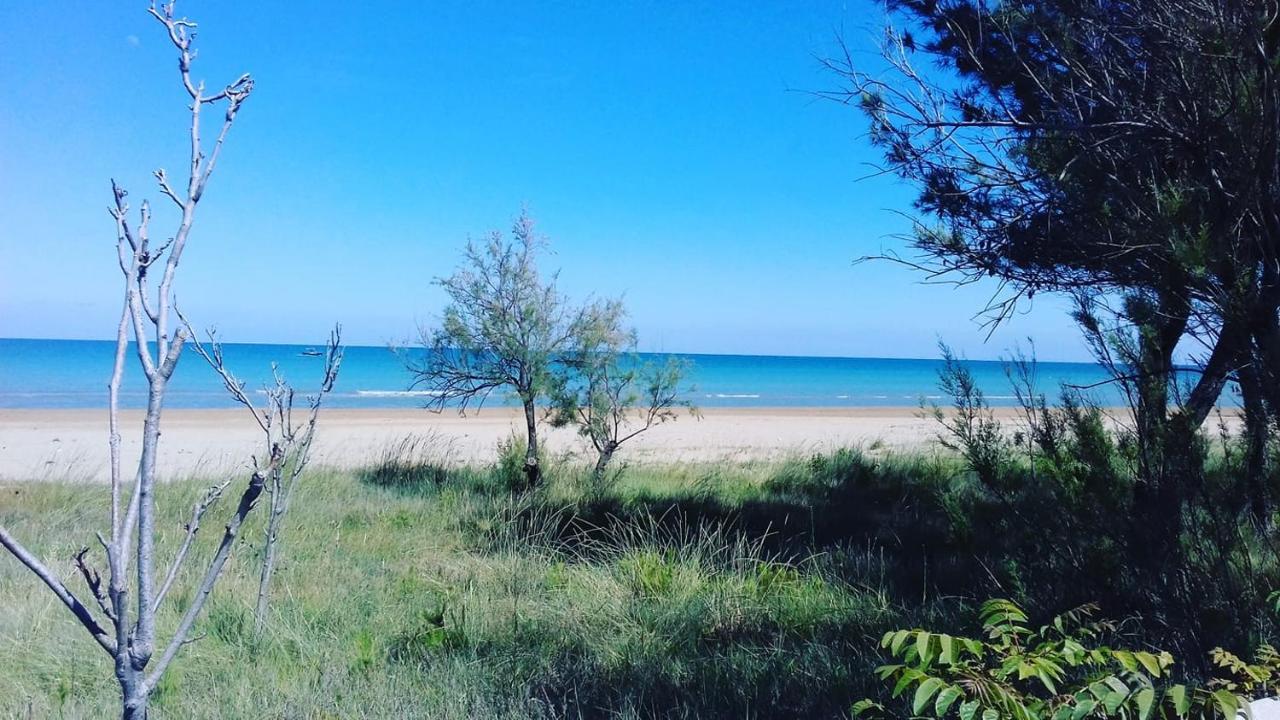 Albergo Labotte Βιέστε Εξωτερικό φωτογραφία